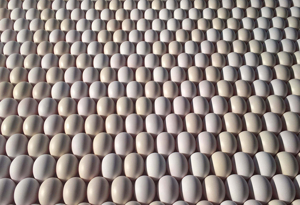 egg wall